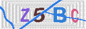 キャプチャ画像