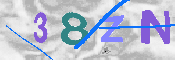 キャプチャ画像
