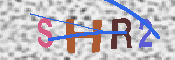 キャプチャ画像
