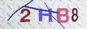 キャプチャ画像