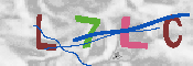 キャプチャ画像