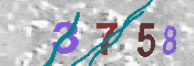 キャプチャ画像