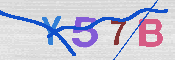 キャプチャ画像