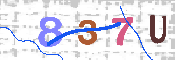 キャプチャ画像