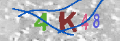 キャプチャ画像