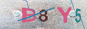 キャプチャ画像