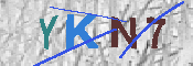キャプチャ画像