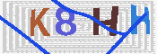 キャプチャ画像