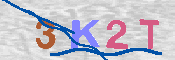 キャプチャ画像
