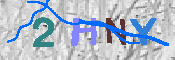 キャプチャ画像