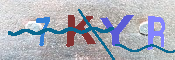 キャプチャ画像