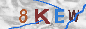 キャプチャ画像