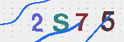 キャプチャ画像