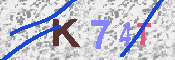 キャプチャ画像