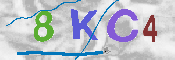 キャプチャ画像