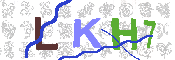 キャプチャ画像