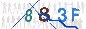キャプチャ画像