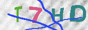 キャプチャ画像