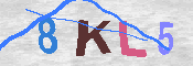 キャプチャ画像
