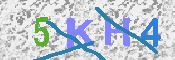 キャプチャ画像