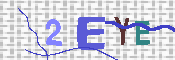 キャプチャ画像