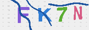 キャプチャ画像