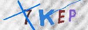 キャプチャ画像