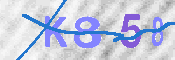キャプチャ画像