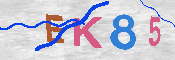 キャプチャ画像