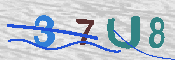 キャプチャ画像