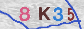 キャプチャ画像