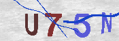 キャプチャ画像