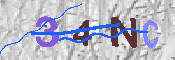 キャプチャ画像