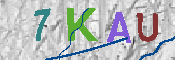 キャプチャ画像