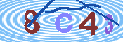 キャプチャ画像
