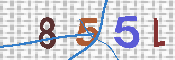 キャプチャ画像