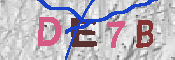 キャプチャ画像