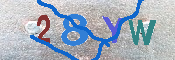 キャプチャ画像