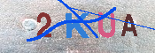 キャプチャ画像