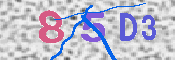 キャプチャ画像