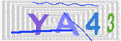 キャプチャ画像