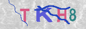 キャプチャ画像