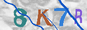キャプチャ画像
