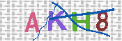 キャプチャ画像
