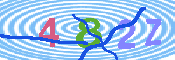 キャプチャ画像