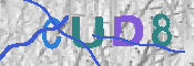 キャプチャ画像