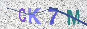 キャプチャ画像