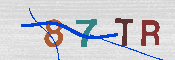 キャプチャ画像