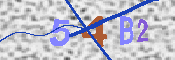 キャプチャ画像
