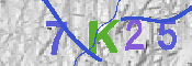 キャプチャ画像
